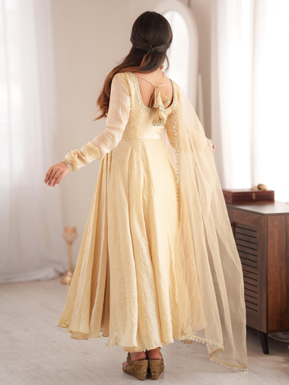 Radiant Festive Flair Anarkali Set